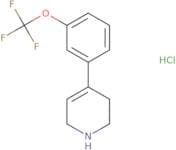 4-[3-(Trifluoromethoxy)phenyl]-1,2,3,6-tetrahydropyridine hydrochloride