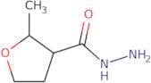 2-Methyloxolane-3-carbohydrazide