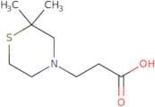 3-(2,2-Dimethylthiomorpholin-4-yl)propanoic acid