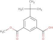 5-tert-Butyl-isophthalic acid monomethyl ester