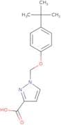 1-[(4-tert-Butylphenoxy)methyl]-1H-pyrazole-3-carboxylic acid