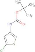 tert-Butyl N-(5-chlorothiophen-3-yl)carbamate