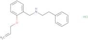 (2-Phenylethyl)({[2-(prop-2-en-1-yloxy)phenyl]methyl})amine hydrochloride
