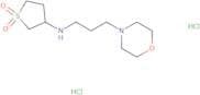 3-{[3-(Morpholin-4-yl)propyl]amino}-1λ6-thiolane-1,1-dione dihydrochloride