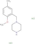 1-[(2-Methoxy-5-methylphenyl)methyl]piperazine dihydrochloride