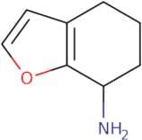 4,5,6,7-Tetrahydro-1-benzofuran-7-amine