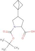 (2S)-4-{Bicyclo[1.1.1]pentan-1-yl}-1-[(tert-butoxy)carbonyl]pyrrolidine-2-carboxylic acid
