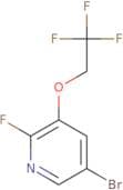 5-Bromo-2-fluoro-3-(2,2,2-trifluoroethoxy)pyridine