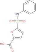 5-(Phenylsulfamoyl)furan-2-carboxylic acid