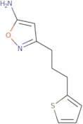 3-[3-(Thiophen-2-yl)propyl]-1,2-oxazol-5-amine