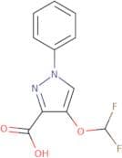 4-(Difluoromethoxy)-1-phenyl-1H-pyrazole-3-carboxylic acid
