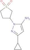 5-cyclopropyl-2-(1,1-dioxothiolan-3-yl)pyrazol-3-amine