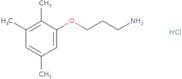 1-(3-Aminopropoxy)-2,3,5-trimethylbenzene hydrochloride