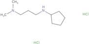 N-[3-(Dimethylamino)propyl]cyclopentanamine dihydrochloride