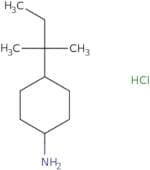 4-(2-Methylbutan-2-yl)cyclohexan-1-amine hydrochloride