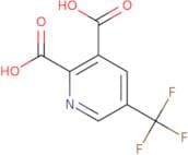 5-(Trifluoromethyl)pyridine-2,3-dicarboxylic acid