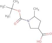 1-[(tert-Butoxy)carbonyl]-5-methylpyrrolidine-3-carboxylic acid