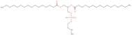 16:0 Monomethyl PE