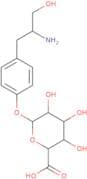 Tyrosol glucuronide