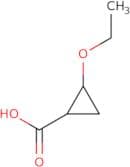 2-Ethoxycyclopropane-1-carboxylic acid