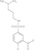 4-Chloro-N-[3-(dimethylamino)propyl]-3-nitrobenzene-1-sulfonamide