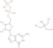 Guanosine 5′-diphosphate tris from saccharomyces cerevisiae