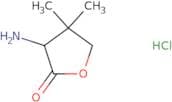 (3R)-3-Amino-4,4-dimethyloxolan-2-one hydrochloride