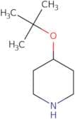 4-(tert-Butoxy)piperidine