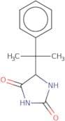 5-(2-Phenylpropan-2-yl)imidazolidine-2,4-dione
