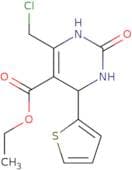 Ethyl 6-(chloromethyl)-2-oxo-4-(thiophen-2-yl)-1,2,3,4-tetrahydropyrimidine-5-carboxylate