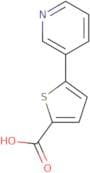 5-(Pyridin-3-yl)thiophene-2-carboxylic acid