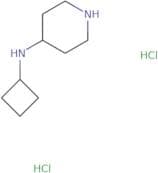 N-Cyclobutylpiperidin-4-amine dihydrochloride