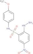 2-Hydrazinyl-N-(4-methoxyphenyl)-5-nitrobenzene-1-sulfonamide