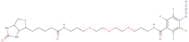 Biotin-dPEG®3-TFPA