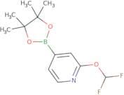 2-(Difluoromethoxy)-4-(4,4,5,5-tetramethyl-1,3,2-dioxaborolan-2-yl)pyridine