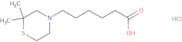 6-(2,2-Dimethylthiomorpholin-4-yl)hexanoic acid hydrochloride