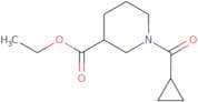 Ethyl 1-cyclopropanecarbonylpiperidine-3-carboxylate