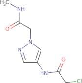 2-Chloro-N-{1-[(methylcarbamoyl)methyl]-1H-pyrazol-4-yl}acetamide