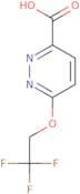 6-(2,2,2-Trifluoroethoxy)pyridazine-3-carboxylic acid