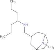 (Heptan-4-yl)({8-methyl-8-azabicyclo[3.2.1]octan-3-yl}methyl)amine