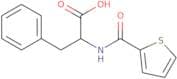 3-Phenyl-2-[(thiophen-2-yl)formamido]propanoic acid