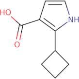 2-Cyclobutyl-1H-pyrrole-3-carboxylic acid