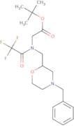 tert-Butyl 2-{N-[(4-benzylmorpholin-2-yl)methyl]-2,2,2-trifluoroacetamido}acetate