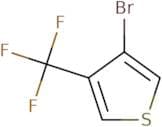 3-Bromo-4-(trifluoromethyl)thiophene