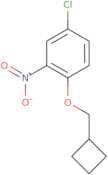 4-Chloro-1-(cyclobutylmethoxy)-2-nitrobenzene