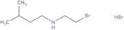 (2-Bromoethyl)(3-methylbutyl)amine hydrobromide