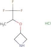 3-[(1,1,1-Trifluoropropan-2-yl)oxy]azetidine hydrochloride