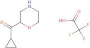 2-Cyclopropanecarbonylmorpholine, trifluoroacetic acid