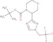 tert-Butyl 3-[1-(2,2,2-trifluoroethyl)-1H-1,2,4-triazol-3-yl]morpholine-4-carboxylate