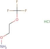 o-[2-(Trifluoromethoxy)ethyl]hydroxylamine hydrochloride